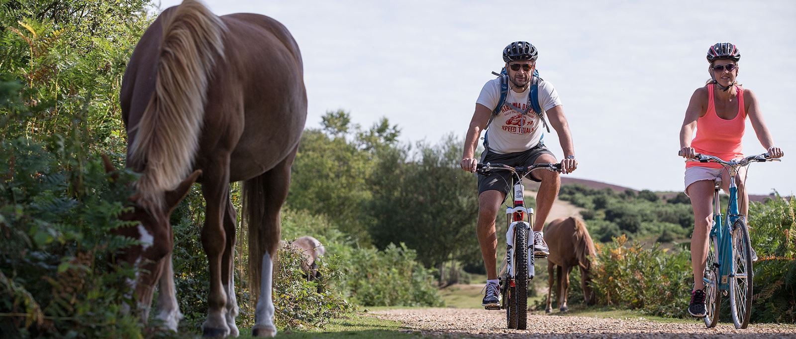 Cycling in the New Forest, Hampshire